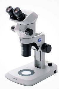 저배율 실체 현미경_OLYMPUS STEREO MICROSCOPE