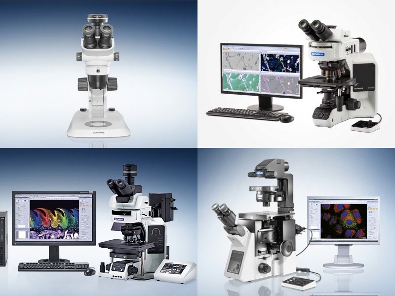 OLYMPUS MICROSCOPE